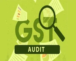 gst-audit